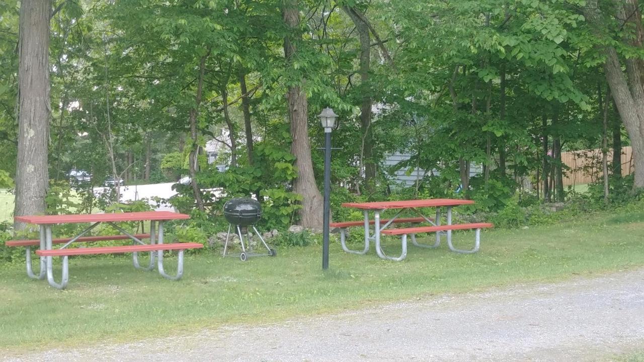 Serenity Motel Shaftsbury Eksteriør bilde